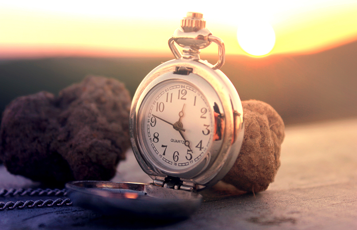 trufflepocketwatch